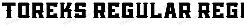 Toreks Regular Regul字体转换